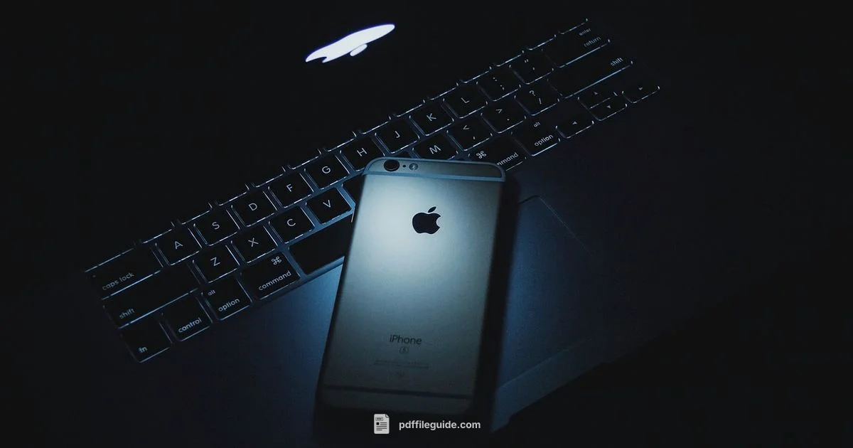 PDF Insertion Guide PDF Insertion Guide - PDF File Guide