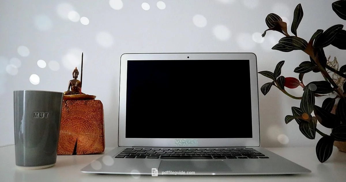 Remove PDF Comments - PDF File Guide