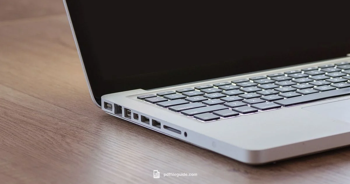 Adobe to PDF Guide - PDF File Guide