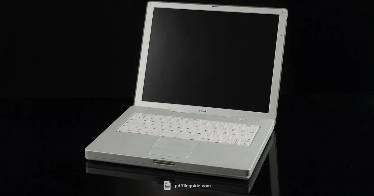 PDF Timeline - PDF File Guide