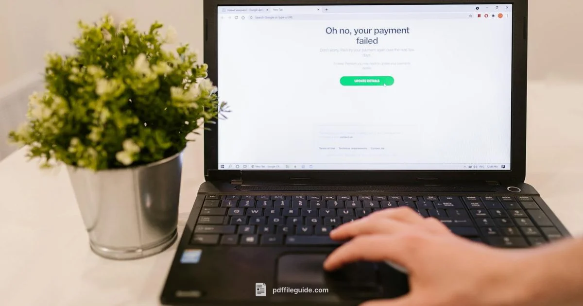 PDF Opening Troubles - PDF File Guide