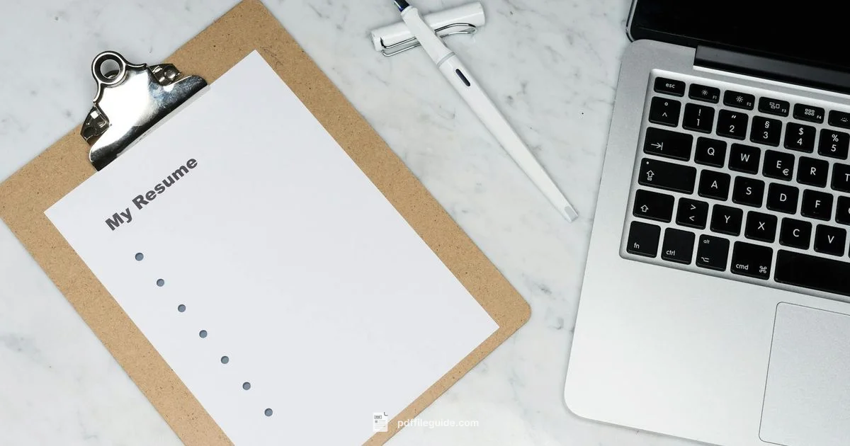 PDF CV Submission - PDF File Guide