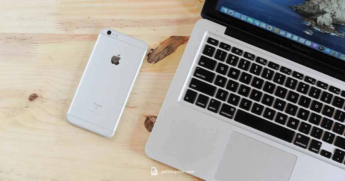 Edit PDF Text - PDF File Guide