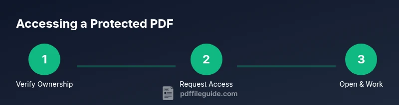 Three-step process to access a password-protected PDF, showing verification, permission request, and work phase.