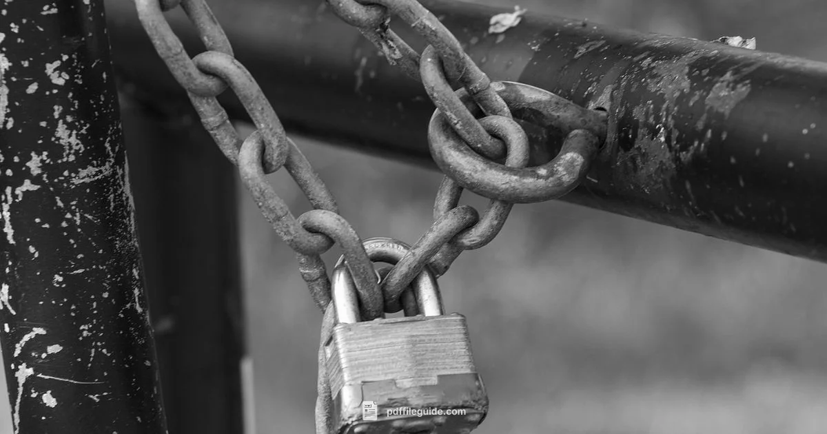 PDF Password Tips - PDF File Guide