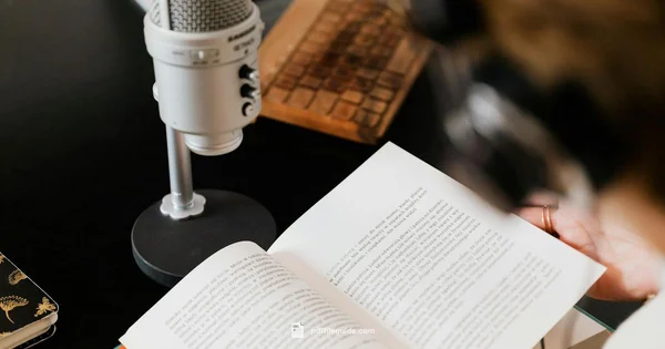 PDF in Reader - PDF File Guide