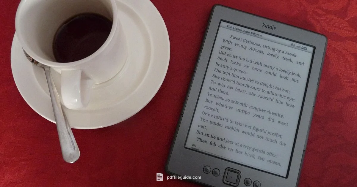 PDF on Kindle PDF on Kindle - PDF File Guide