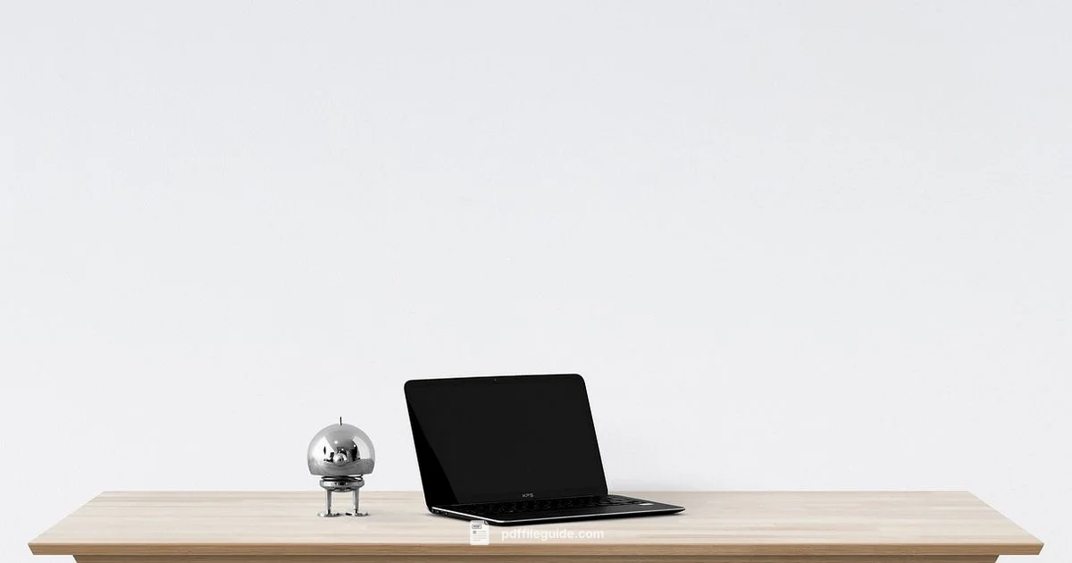 Top Free PDF Converters - PDF File Guide