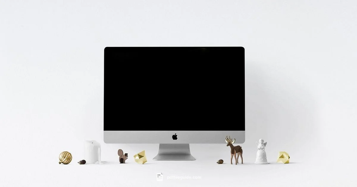 PDF Format Basics PDF Format Basics - PDF File Guide