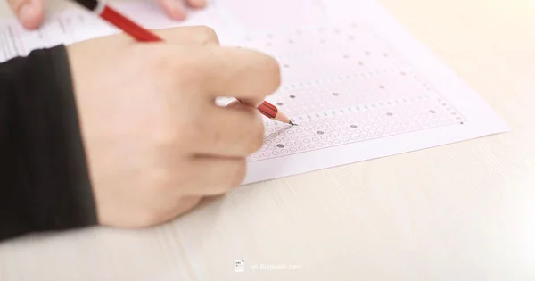 Fillable PDF Forms - PDF File Guide